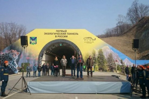 U primorskom kraiu izgradio je tunel za leoparde U primorskom kraiu izgradio je tunel za leoparde